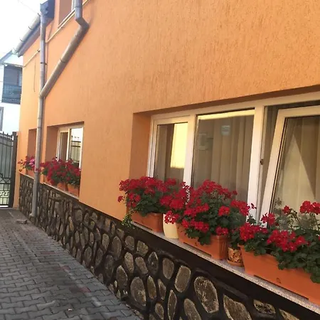 Casa Bis Apartment Sibiu